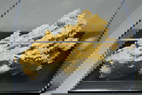 Silicified fossils in natural limestone matrix: Title: Silicified fossils in natural limestone matrix Origin: France Size: 9.6 ? 5.5 ? 4.6 cm (fossils + matrix) Description: Species: Cardioceras sp., Cerithium sp., Thurmanella thurmani, Polydiadema