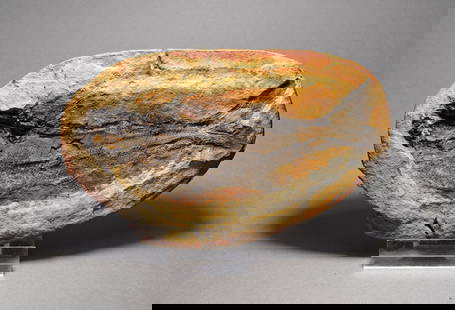 Fine fish fossil Teffichthys madagascariensis: Title: Fine fish fossil Teffichthys madagascariensis Origin: Madagascar Size: 11.7 cm long Description: Species: Teffichthys madagascariensis Age: lower Triassic Locality: Madagascar Measurements: c.