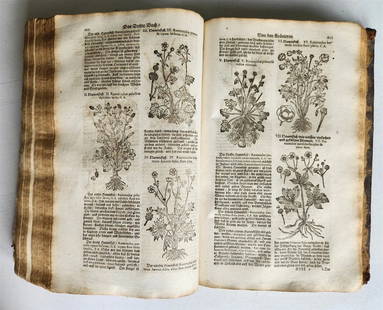 1696 HERBAL BOOK Theatrum botanicum antique ILLUSTRATED FOLIO 1200 woodcuts: ZWINGER T. Theatrum botanicum, Das ist: Neu vollkommenes Krauter-Buch worinnen allerhand Erdgewächse der Bäumen, Stauden und Krautern, auch vielen herrlichen Artzney-mittein beschrieben. Ers