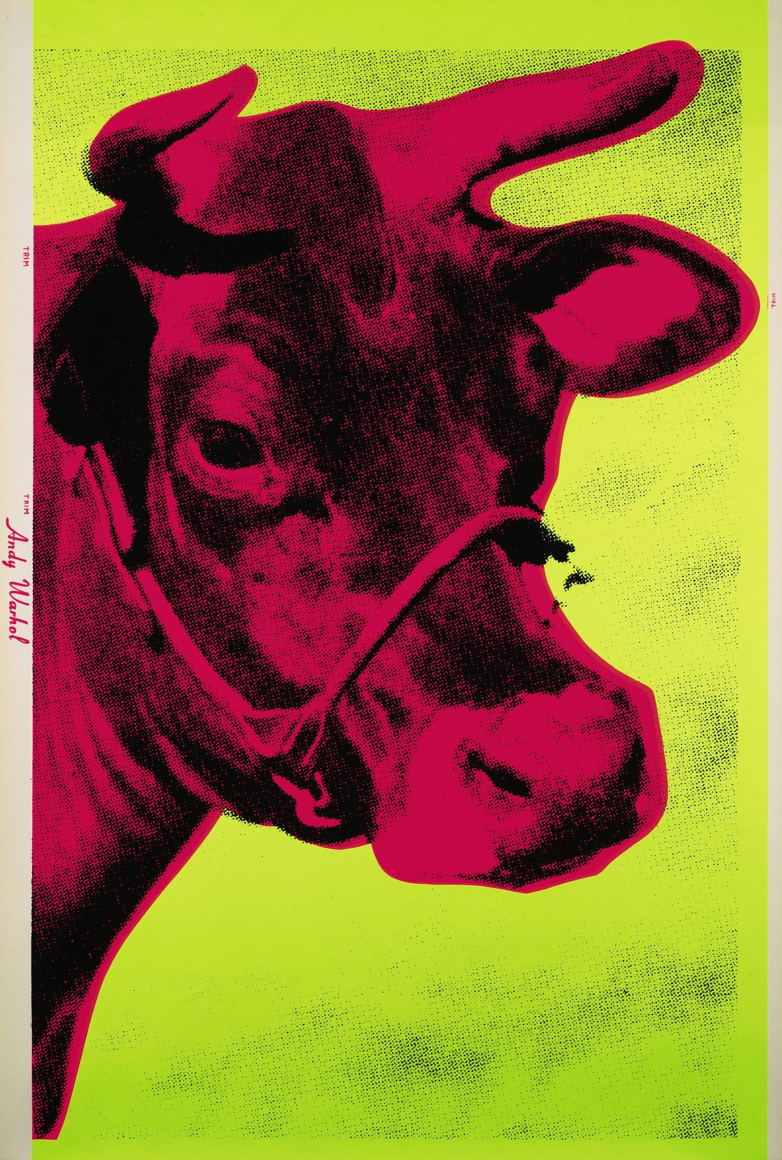 Andy Warhol Cow Poster: Description: Andy Warhol Cow Poster measuring at 46x29 inches Date: 1971 Material: Matte Art Paper Additional Information: Possible Reproduction/Printed Later Reserve: $90.00 Shipping: Domestic: Flat-