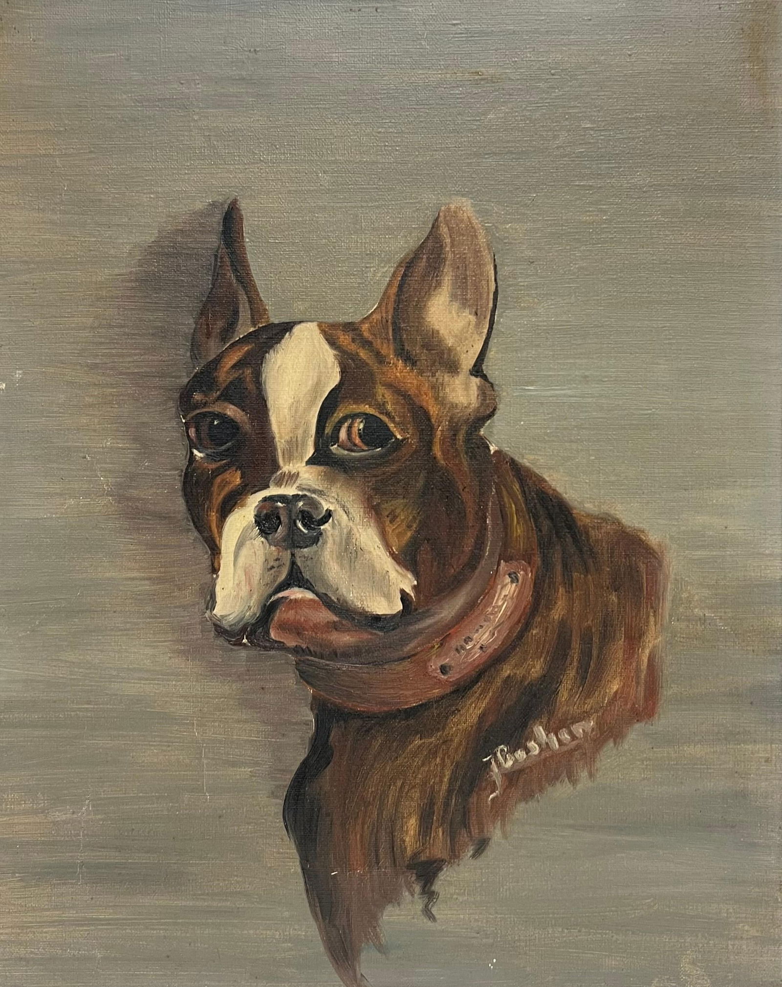 Antique French Signed Oil Painting Portrait of a Boston Terrier Dog 1950's: About the Item The Boston Terrier French artist, mid 20th century oil on on canvas, framed framed: 18 x 15 inches canvas : 16.5 x 13 inches Provenance: private collection, UK Condition: a very few scu