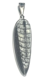 Estate Sterling Silver Sajen Orthoceras Pendant