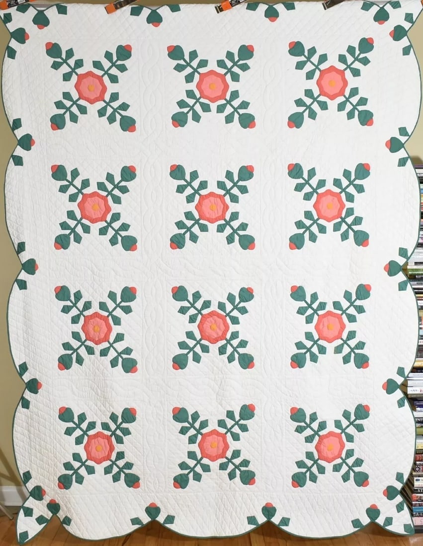 30's Rose of Sharon Applique Quilt (1 of 11)