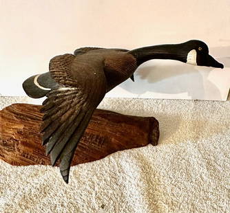 Flying Canada Goose on Driftwood Base: This flying Canada Goose retains its original painted surface, carved wings and wing-tips, and nicely shaped head and necks. There may be a signature on the underside of the base and the date (&#8217;