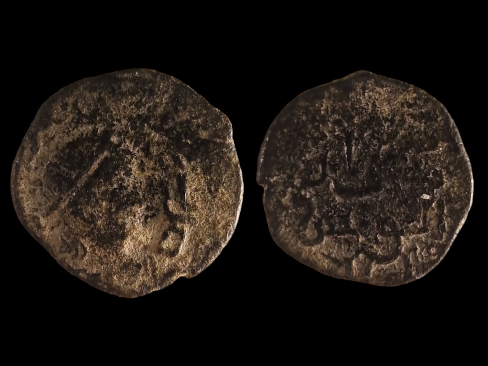 Zengid Dynasty (1 of 1)