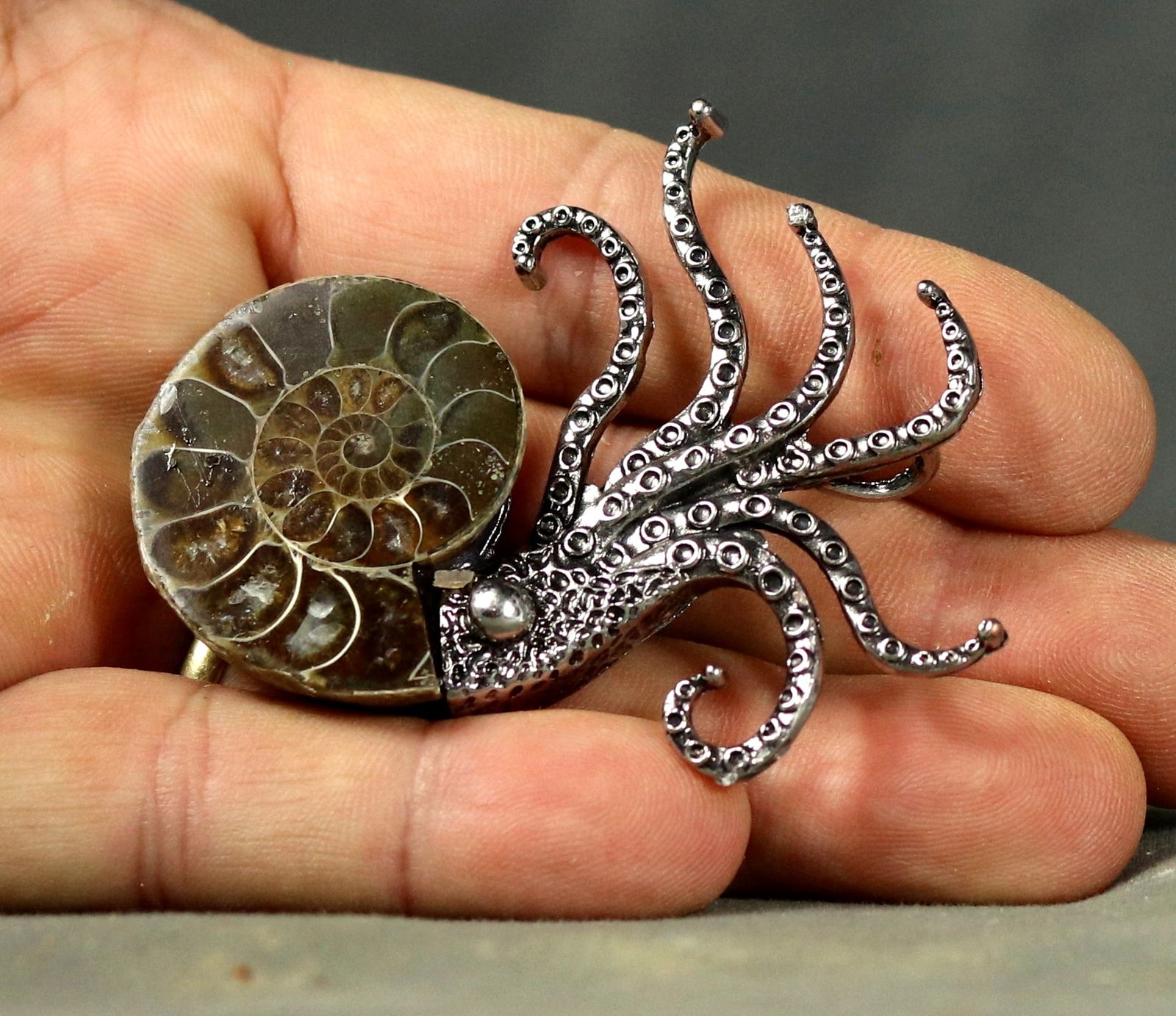 Finest brooch made with a fossil ammonite.: Finest brooch made with a fossil ammonite. Reserve: $75.00 Shipping: Domestic: Flat-rate of $35.00 to anywhere within the contiguous U.S. International: Foreign shipping rates are determined by destin