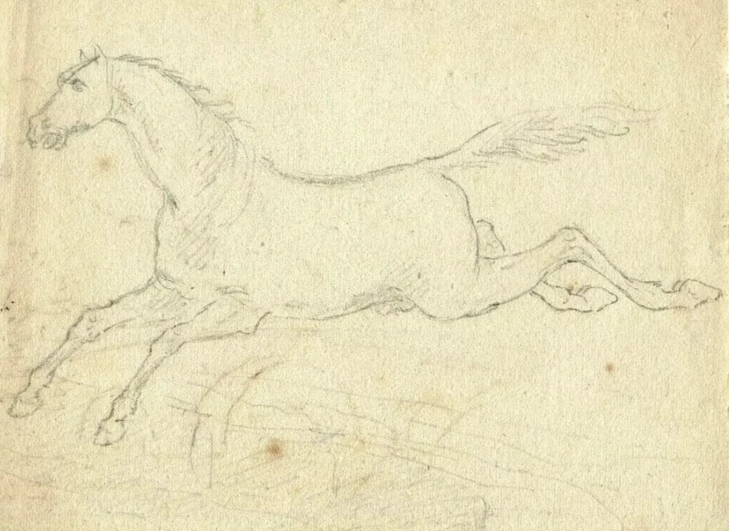 Antique Pencil Drawing Original 19th century Animals, Horse running (1 of 8)