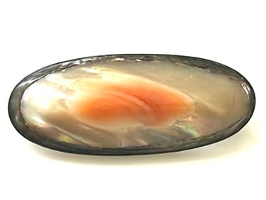 Vintage Sterling Silver Abalone Blister Shell Brooch