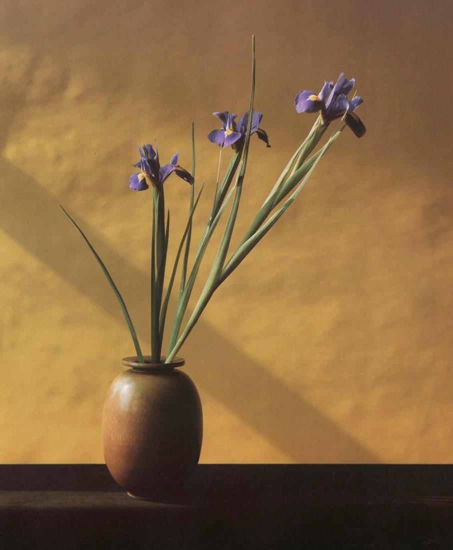 MAPPLETHORPE - Irises, 1982 (1 of 1)