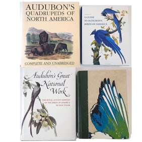 Four Fantastic Audubon Books Hardcover