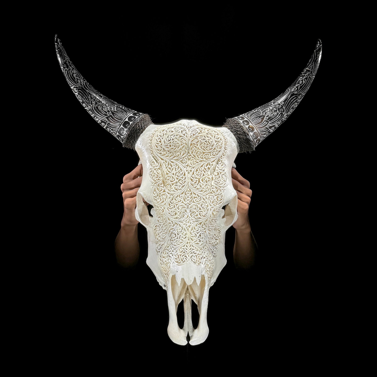 White carved cow skull with carved horns - Fern motif: Title: White carved cow skull with carved horns - Fern motif Maker:Unknown Origin: Indonesia Date/Period:2025 Materials:Bos Taurus, Bone, Horn Size:Height: 61 cm / 24 inches Width: 56 cm / 22 inches D