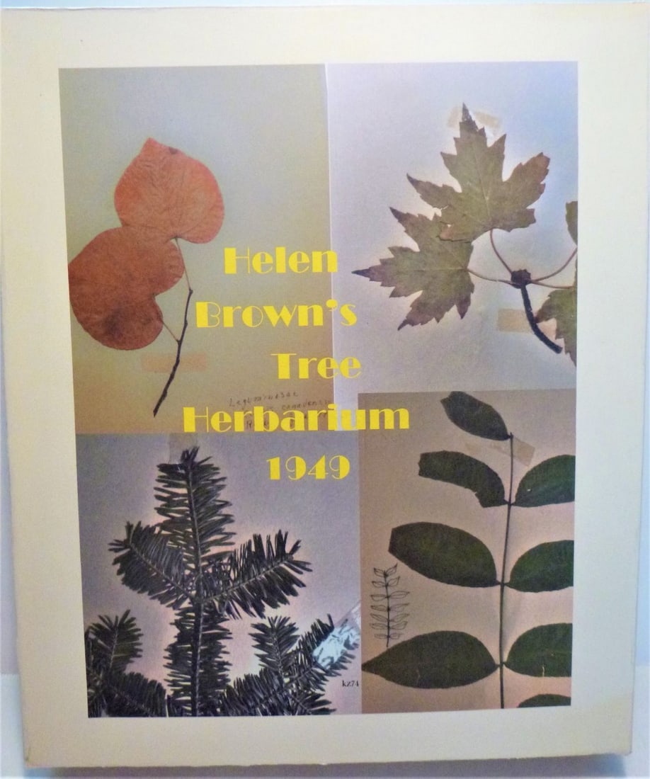1949 - Tree Herbarium - 64 Mounted Specimens (1 of 19)
