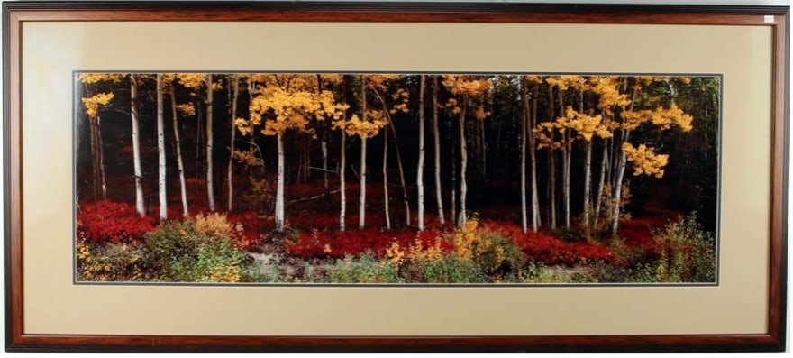 Thomas Mangelson: Among the Aspens under glass (1 of 2)