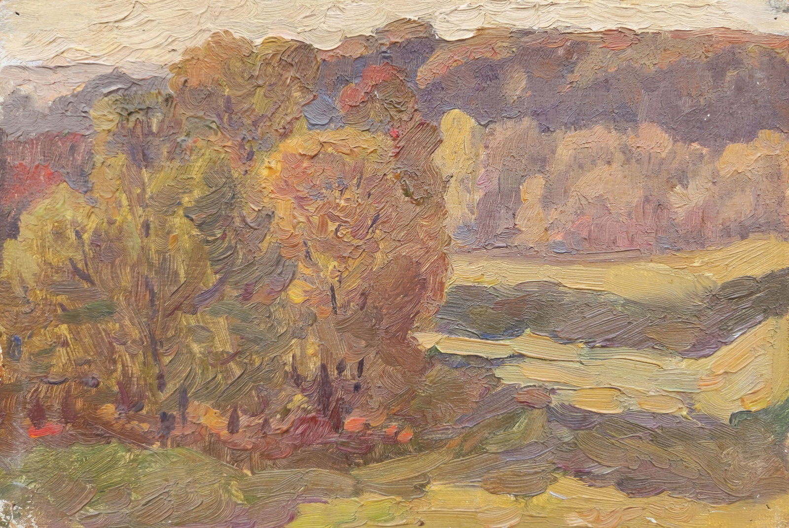 Mynka Olexandr (Ukrainian artist), "Meadow", oil on cardboard: ARTIST: Mynka Olexandr Fedorovich, Ukrainian artist TITLE: "Meadow" SIZE: 18 x 24 cm, (7 x 9 2/4 in.) MEDIUM: oil on cardboard YEAR OF CREATION: 1973 CONDITION: The painting is in good vintage conditi