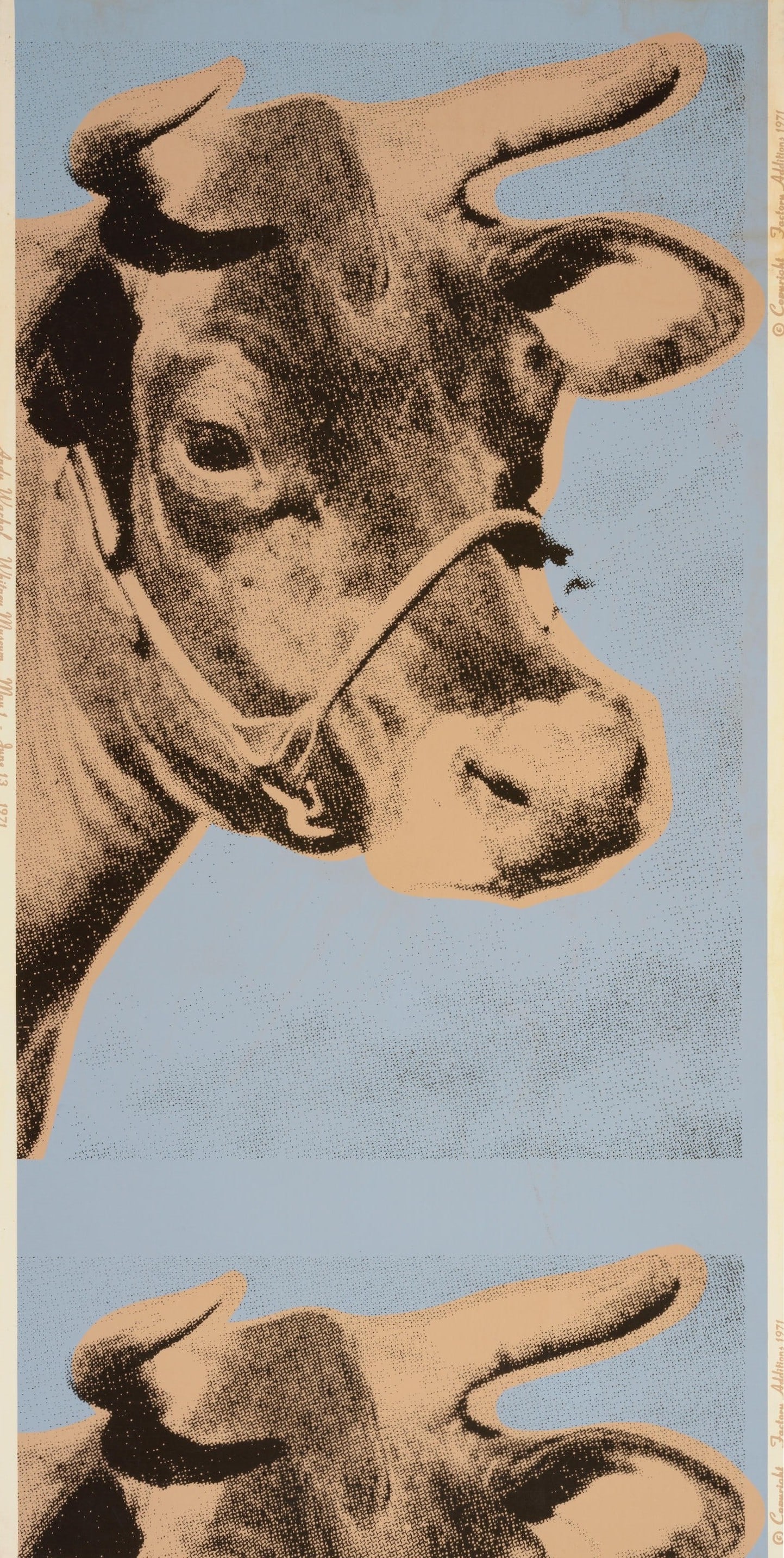 Andy Warhol Cow Poster: Andy Warhol Cow Poster measuring at 59x30 inches Dimensions: 59x30" Additional Information: Possible Reproduction/Printed Later. Reserve: $90.00 Shipping: Domestic: Flat-rate of $40.00 to anywhere wit