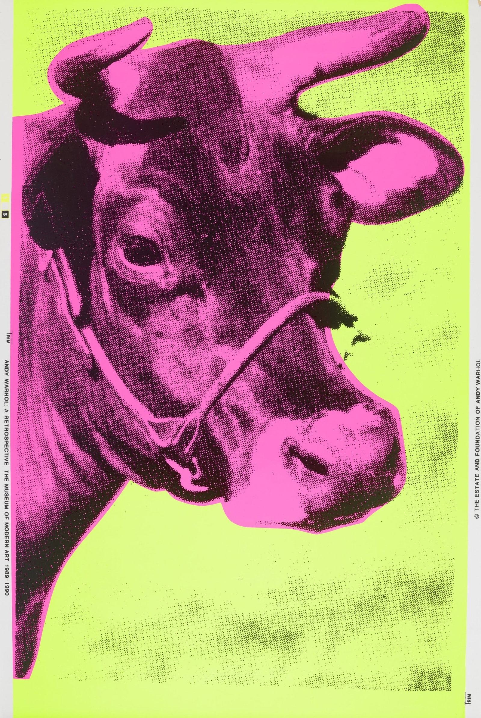 Andy Warhol Cow Poster: Andy Warhol Cow Poster measuring at 46x30 inches Dimensions: 46x30" Additional Information: Possible Reproduction/Printed Later. Reserve: $90.00 Shipping: Domestic: Flat-rate of $40.00 to anywhere wit