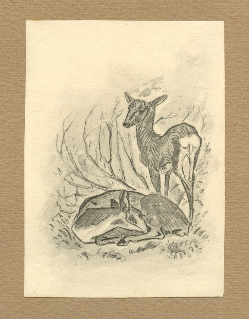 Franz Marc "Be Silent" 1917: Medium: collotype (after the drawing). The German title is Schweigen. Printed in 1917 and published in Munich in an edition of 110 by Franz Hanfstaengl for the rare "Stella Peregrina" portfolio. Image