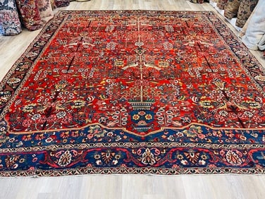 Unique Bird of Paradise large size Antique Persian Bakhtiari-5136