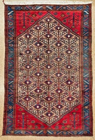 Antique Persian Hamedan Rug 5'2" x 9'8" Hand-Knotted Wool Tribal Geometric
