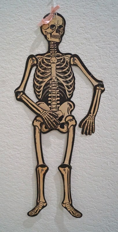 2 Die Cut 23” Halloween Girl & Boy Skeletons #4 (1 of 5)
