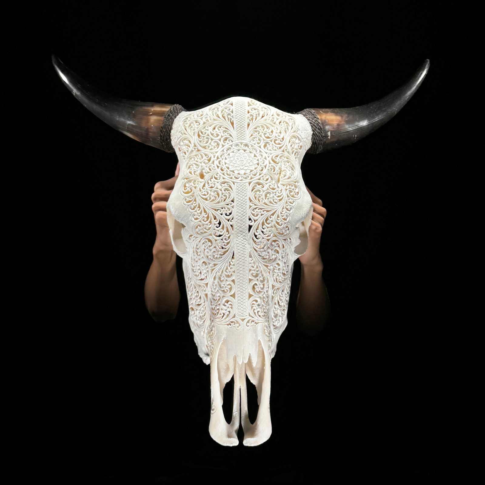White bull's skull - Flower mandala motif: Title: White bull's skull - Flower mandala motif Maker:Unknown Origin: Indonesia Date/Period:2025 Materials:Bos Taurus, bone, horn Dimensions:Height: 66 cm / 25.9 inches. Length: 65 cm / 25.5 inches D
