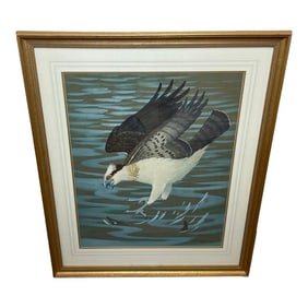Mid 20th Century Scottish Watercolour Painting of an Osprey Swooping Down on Pike Fish Prey by Ralst