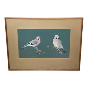 British Watercolor Painting Jays Perched Bird Study by Donald Watson Framed Dated 1957