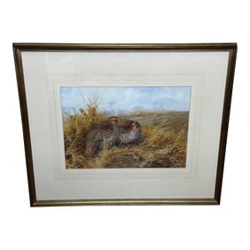 British Watercolor Painting of Grey Partridges Game Birds Sheltering New Forest by Neil Cox