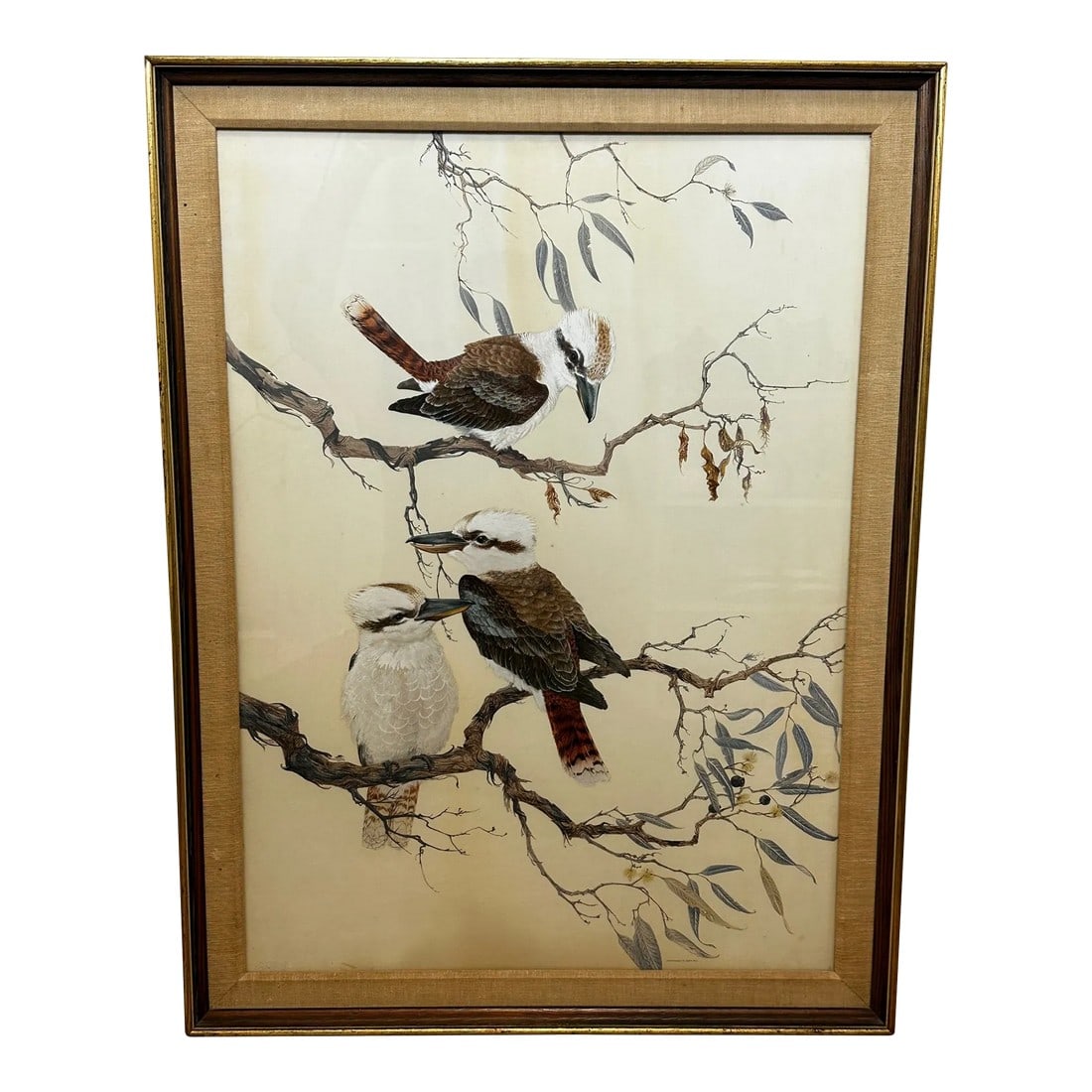 Australian Watercolor Painting Kookaburras Birds Perched in Bush Outback Signed Robin Hill Dated 196: 1 Fine Large Ornithology Australian Work Of Art Watercolor Group of 3 Kookaburras Birds Perched In Tree in the Bush Outback. Title "Group of 3 Kookaburras" and dated 62 for 1962 By Robin Hill. Subject