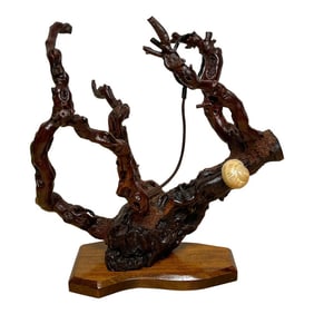 1960s French Modern Natural Grapevine ‚ÄòCoral‚Äô Wine Caddy