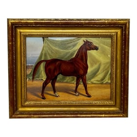 Circa Early 1900 English Victorian Oil Painting Purebred Red Chestnut Arab Horse in Bombay Stables I