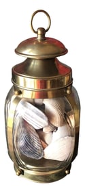 Brass and Glass Nautical Shells Collection in Vase