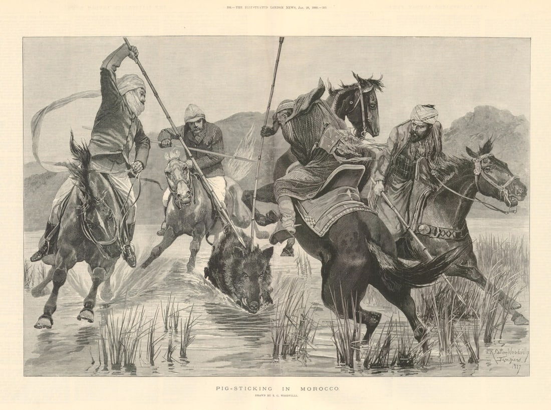 Pig-sticking in Morocco. Hunting 1888 old antique vintage print picture: Pig-sticking in Morocco' by Illustrated London News. Published 28 January 1888. Antique wood-engraved print. Illustrated London News double page from 28 January 1888. Size 39 x 53 cm | 15.5 x 21.0 inc