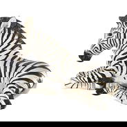 Figurines & Miniatures