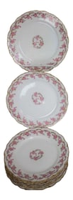 Set of 8 Limoges Plates - Elite Works France