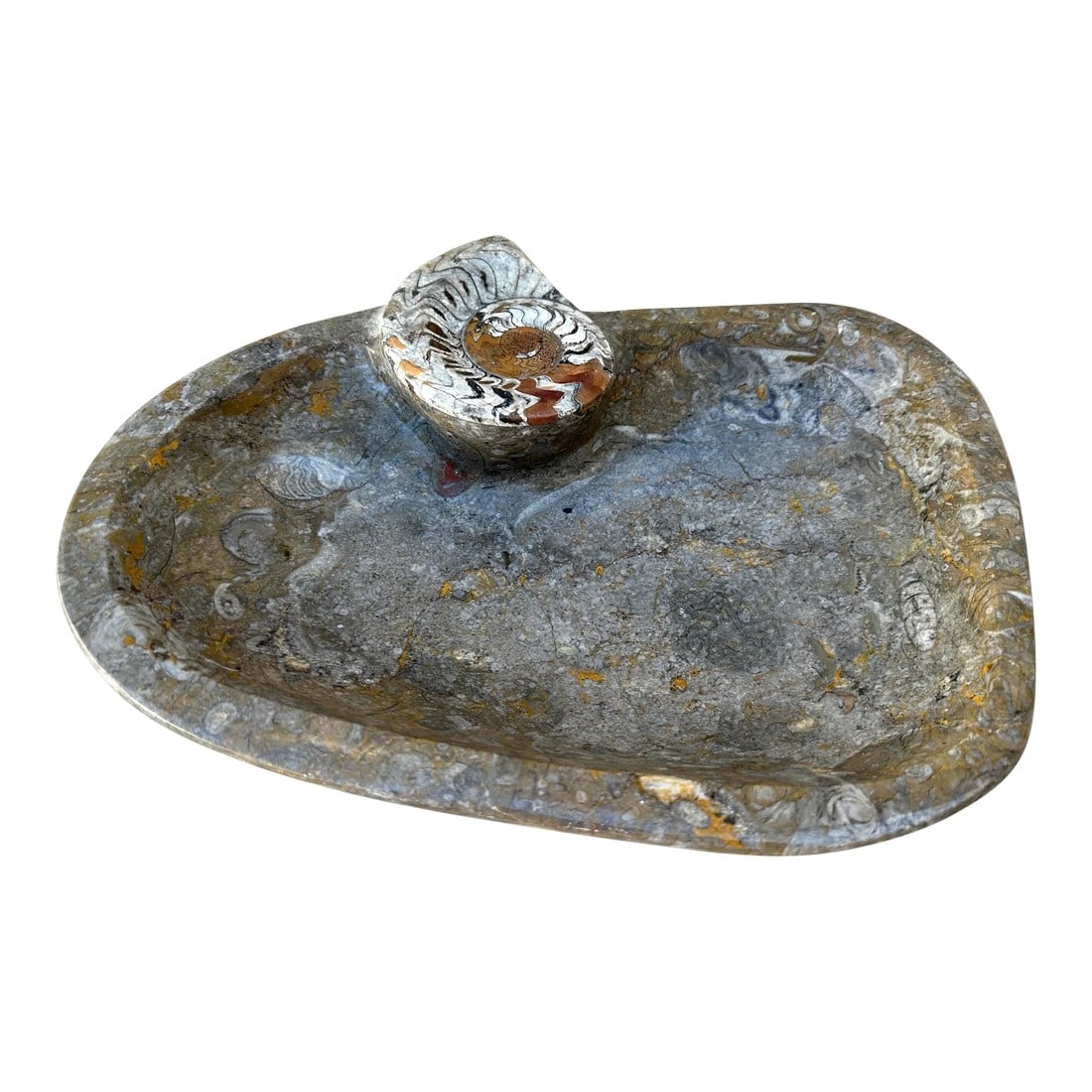 Vintage Ammonite Fossil Shell Catchall Dish (1 of 6)