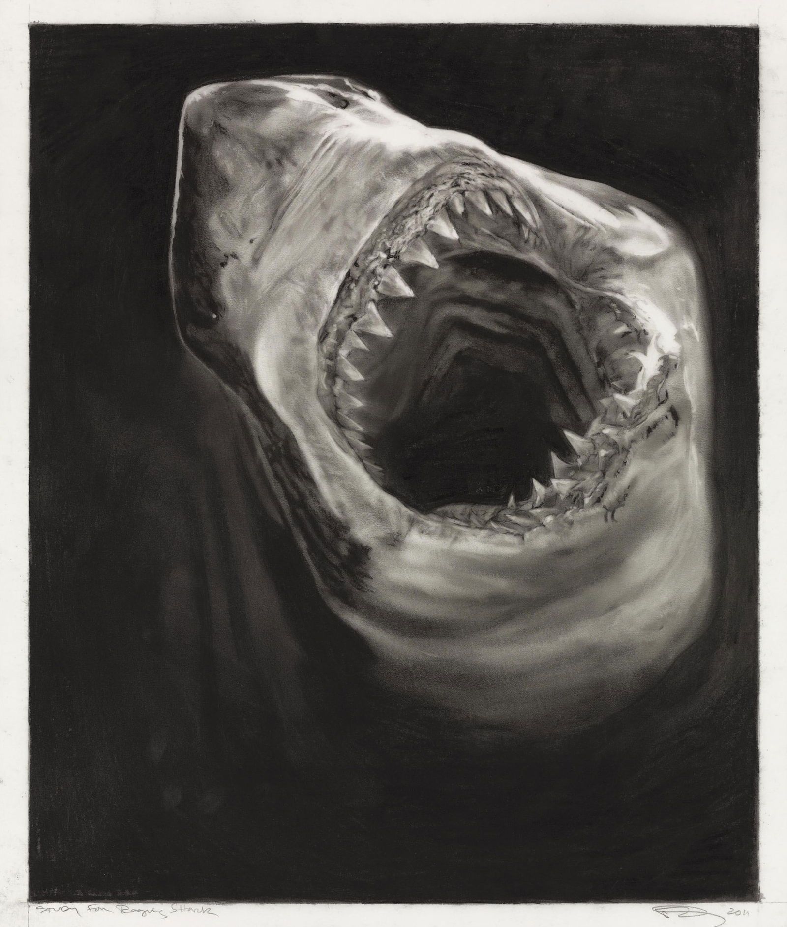ROBERT LONGO RAGING SHARK PRINT: Robert Longo Raging Shark Print measuring at 19x24 inches Reserve: $60.00 Shipping: Domestic: Flat-rate of $35.00 to anywhere within the contiguous U.S. International: Foreign shipping rates are deter
