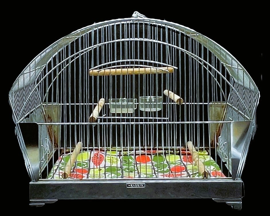 Antique Victorian HENDRYX Art Deco Chrome Hanging Canary Bird Cage Made USA (1 of 7)