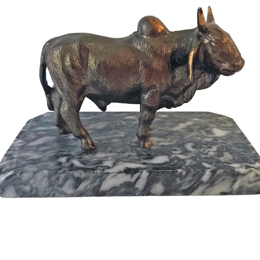 Bronze Zebu Humped Cattle Statue: Title: Bronze Zebu Humped Cattle Statue Description: Bronze Zebu Humped Cattle Statue Measures 4 1/2"T with base weighs 2,5 lbs The zebu, also known as indicine cattle and humped cattle, is a species 