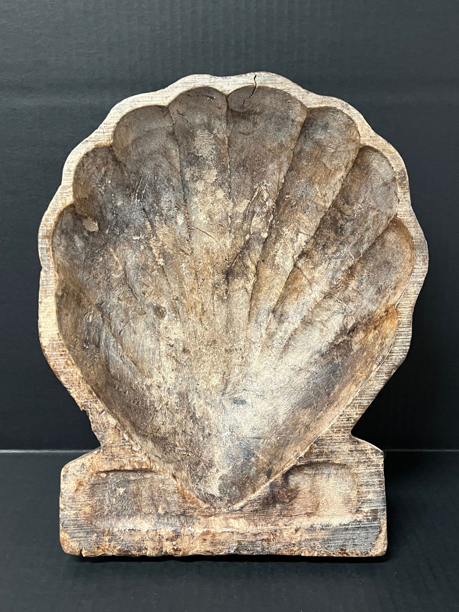 Shell Sculpture (1 of 9)