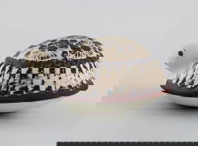 Lisa Larson for Gustavsberg. Turtle in glazed ceramics. 1970's.: Lisa Larson for Gustavsberg. Turtle in glazed ceramics. 1970's. Measures: 8 x 4 cm. In excellent condition. Stamped. Reserve: $140.00 Shipping: Domestic: Shipping rates are determined by destination I