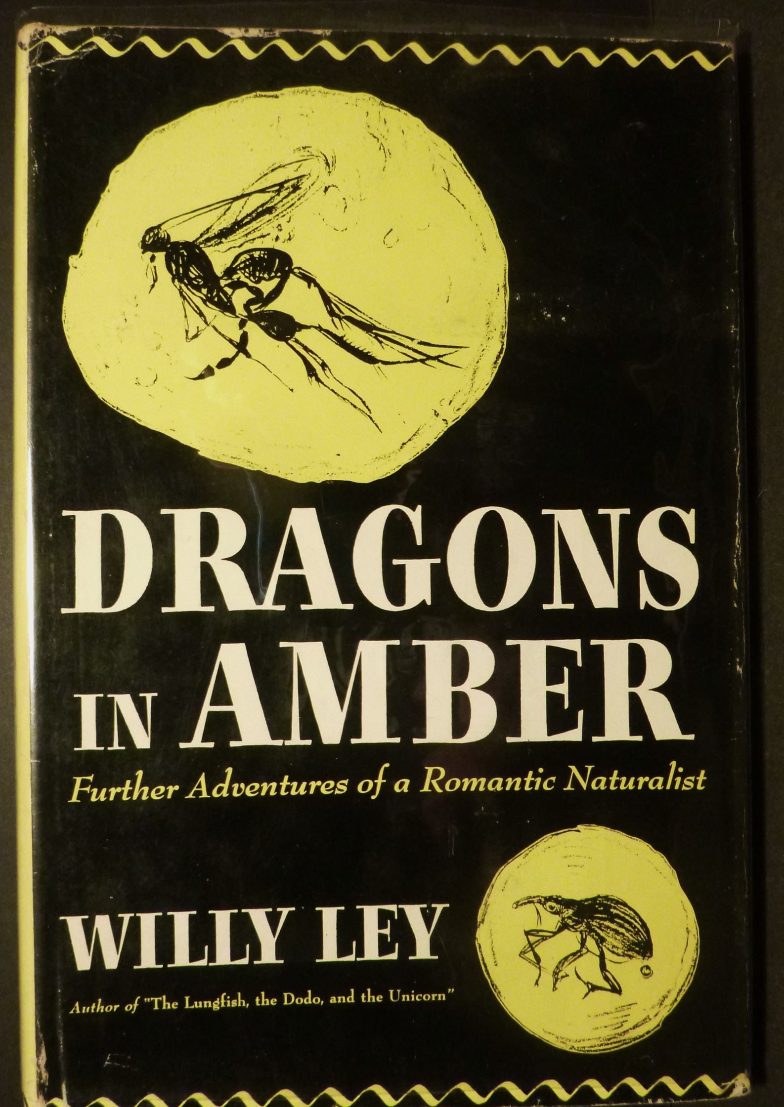 Dragons in Amber: Title:Dragons in Amber Author:Willy LEY Date:1951 Publisher:Viking Press, NY Edition:First Edition Additional Info:Dragons In Amber. Further Adventures of a Romantic Naturalist. A natural history of t