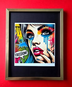 AIDAN FLUX | Hand Signed Original Print Framed LtdEd COA " FREEDOM "