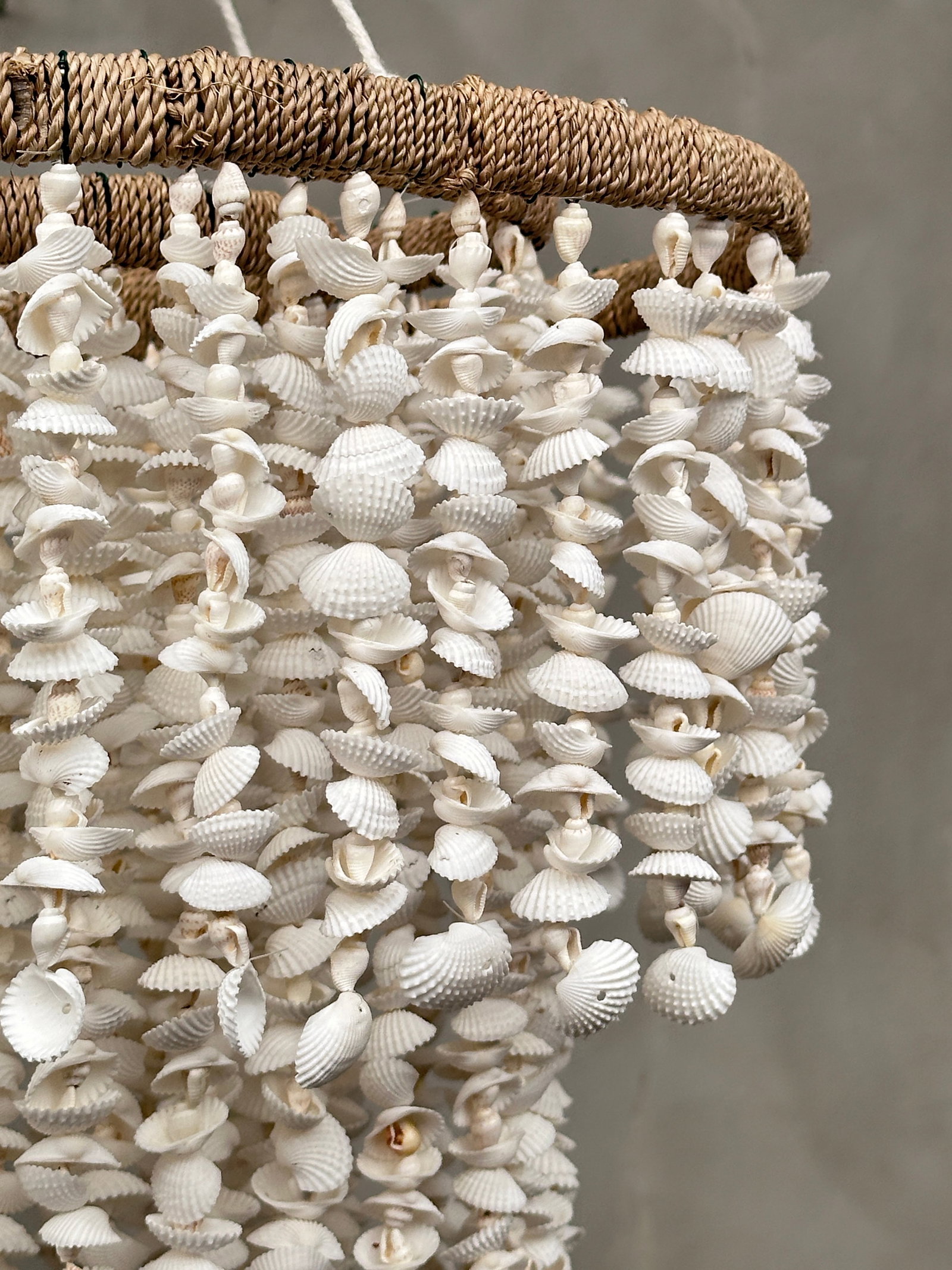 Stunning Shell Chandelier - 3