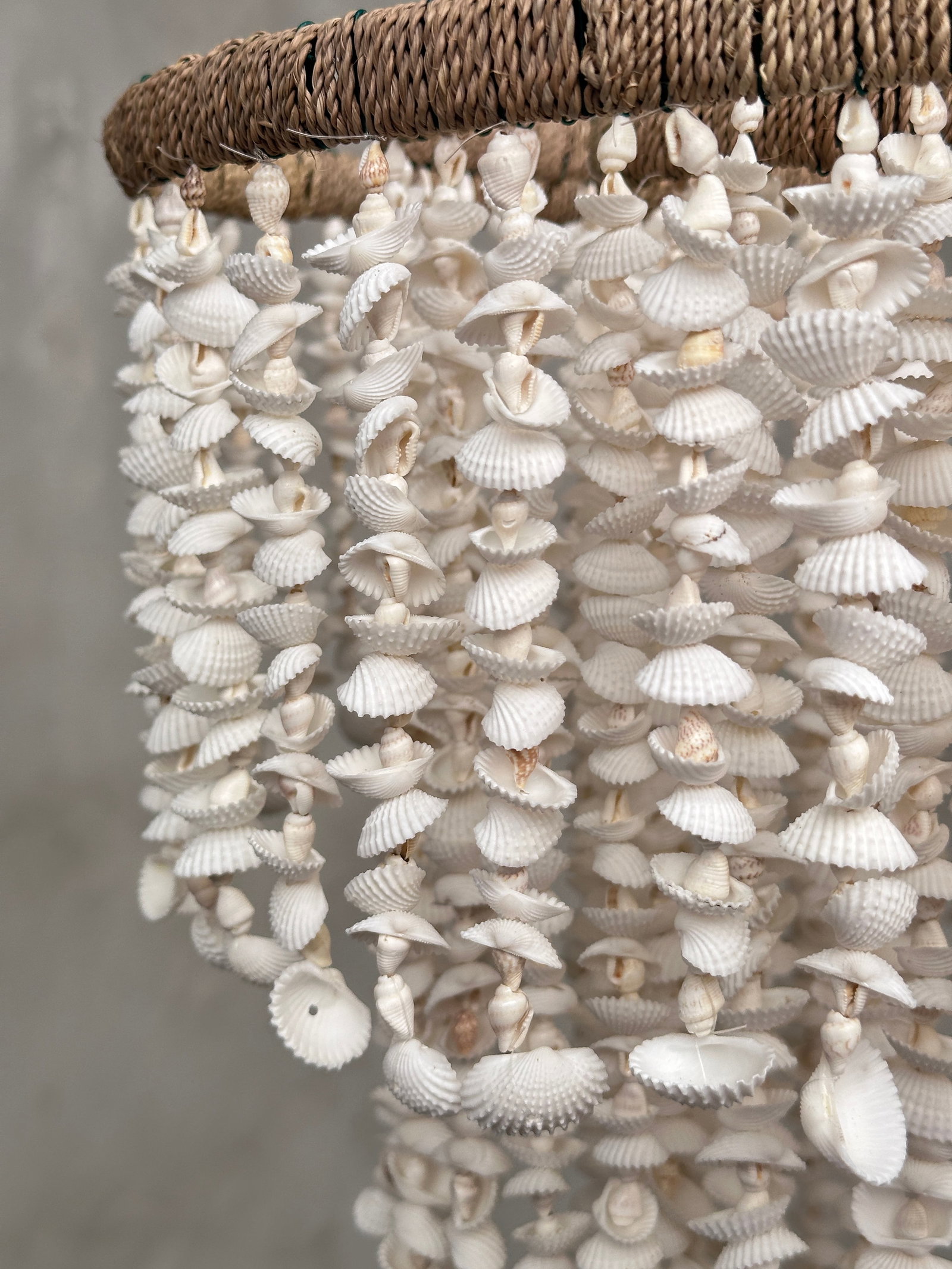 Stunning Shell Chandelier - 4