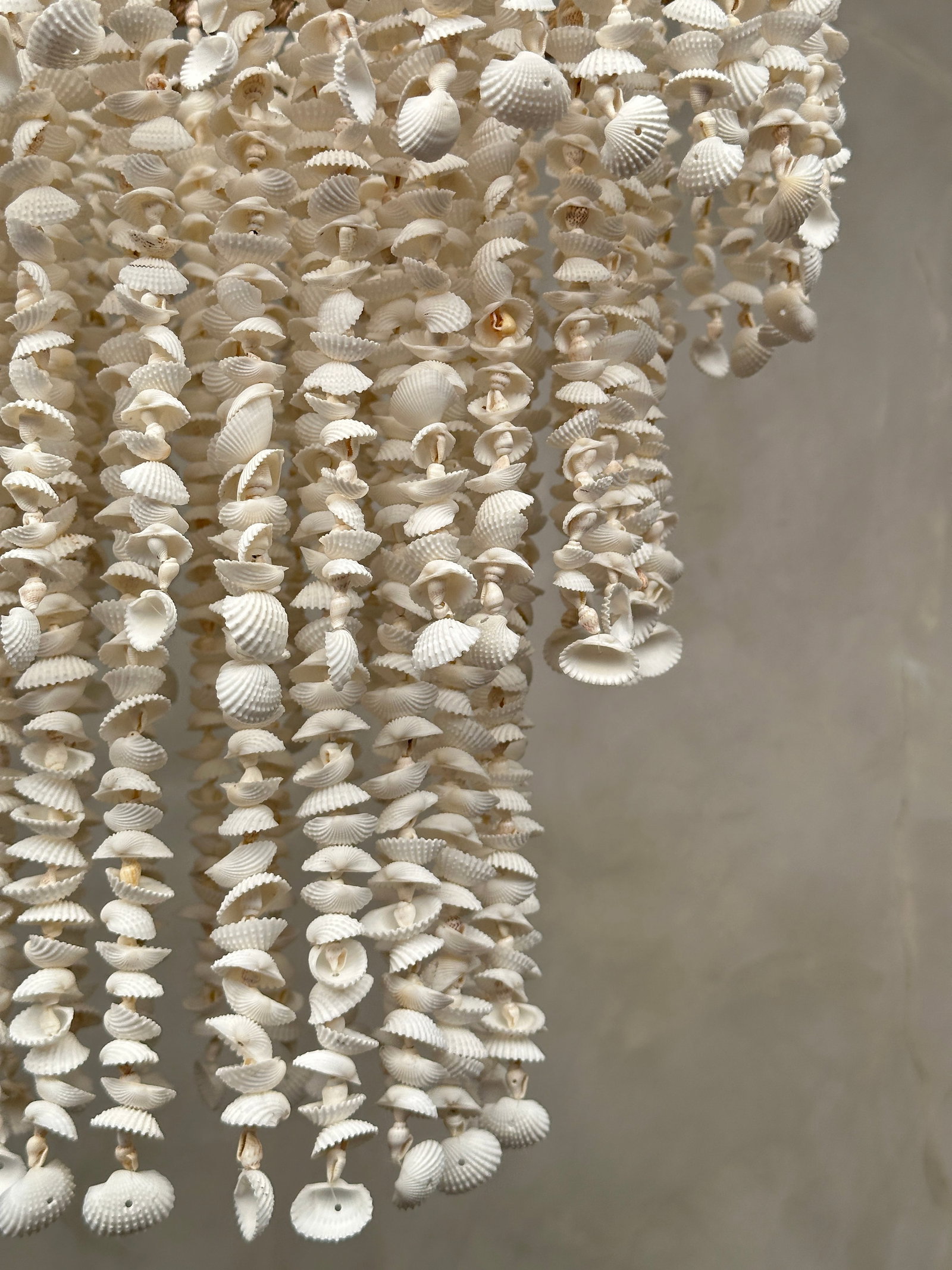Stunning Shell Chandelier - 5