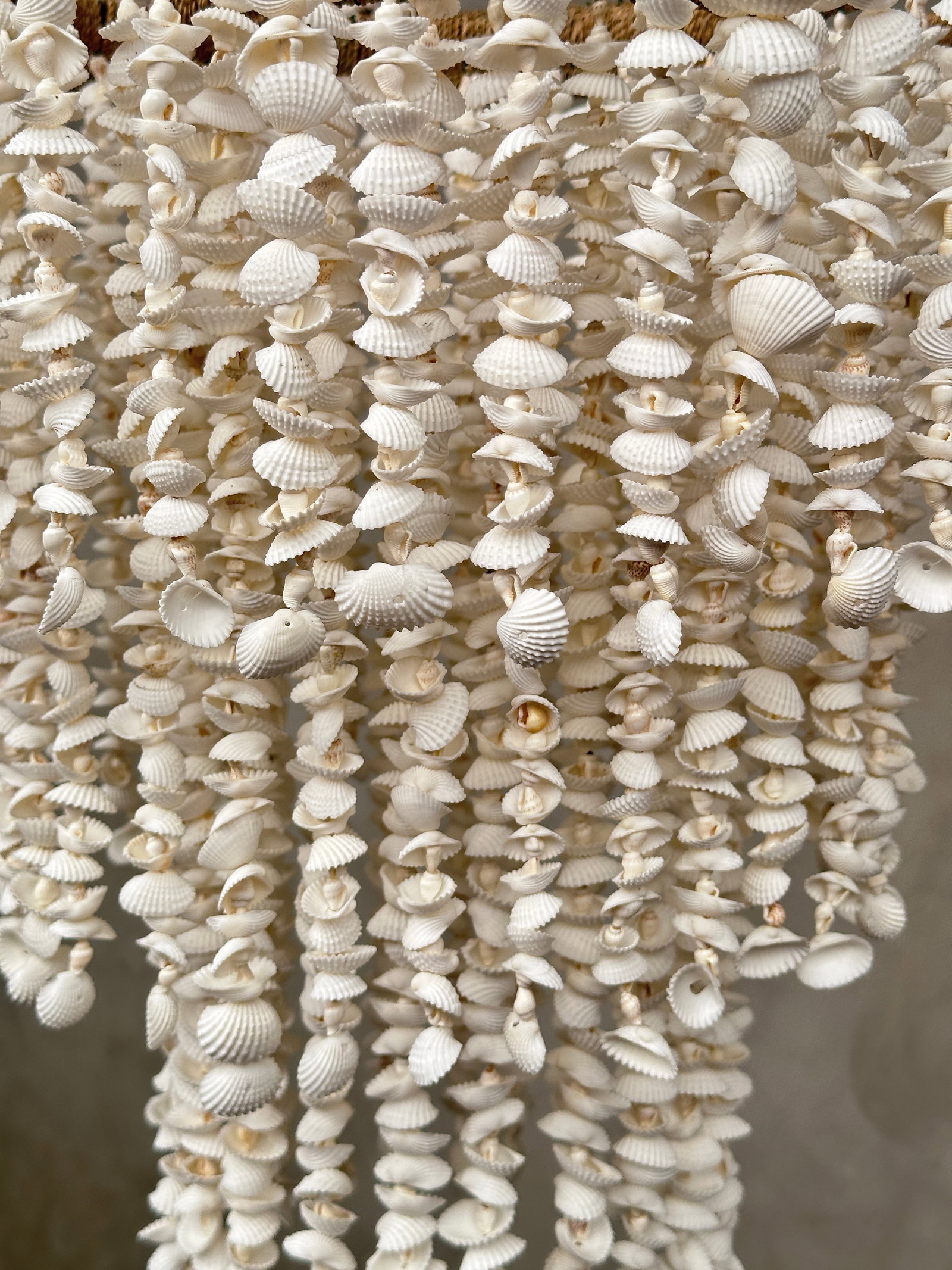 Stunning Shell Chandelier - 7