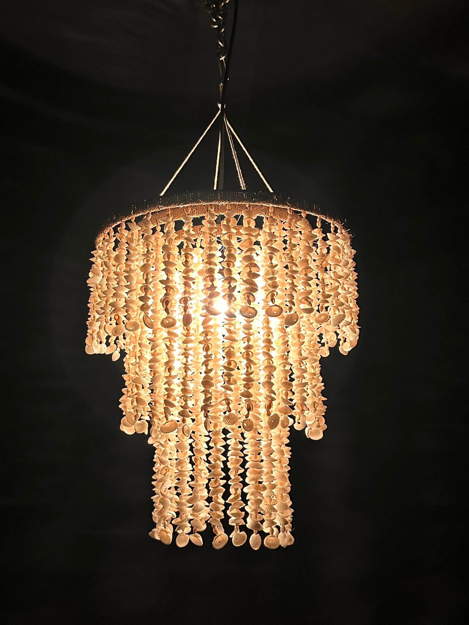 Stunning Shell Chandelier - 8