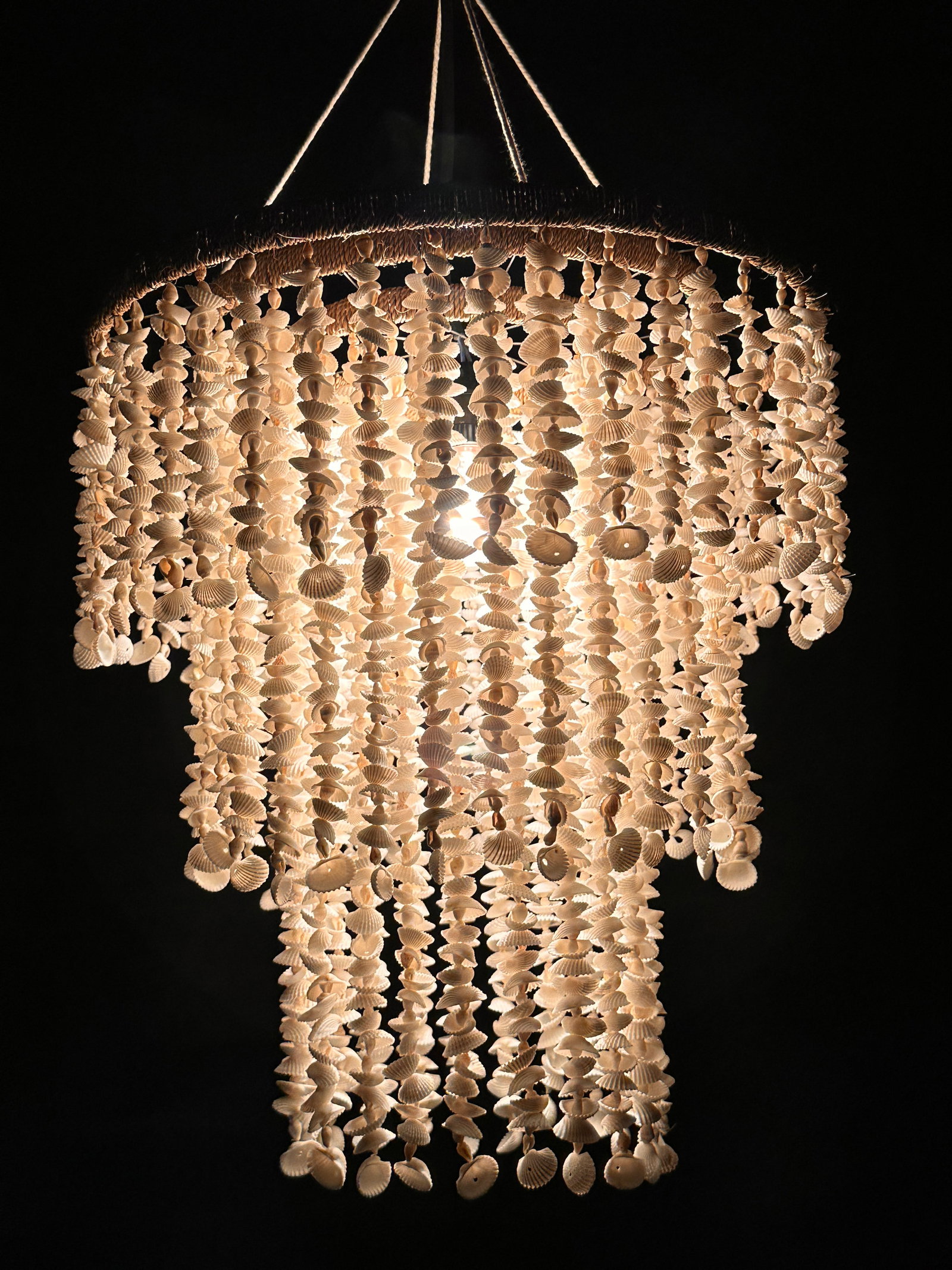Stunning Shell Chandelier - 9