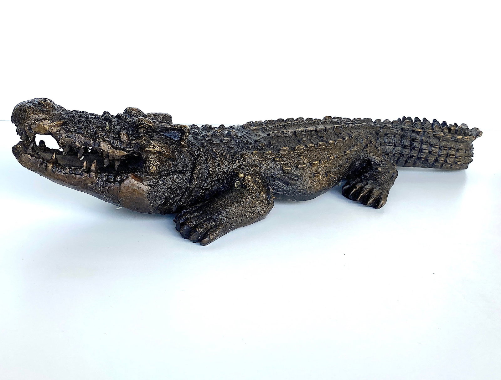 Bronze Aligator - 4